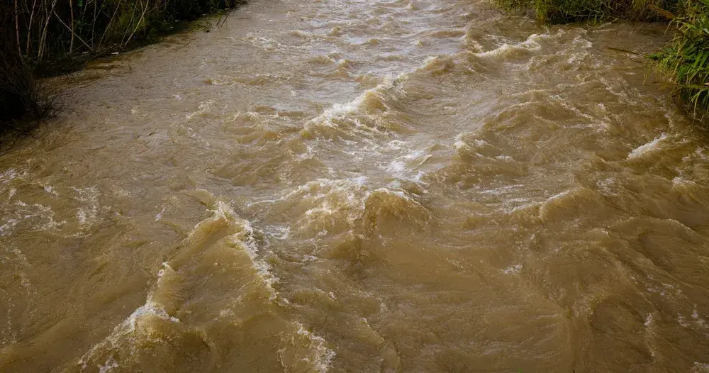 Rio de água barrenta correndo entre margens com vegetação