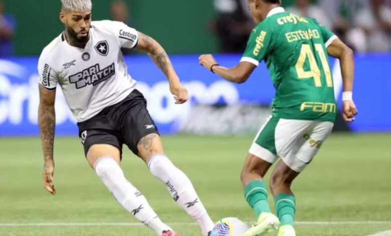 A declaração de Álvaro Montoro, do Botafogo, direcionada ao Palmeiras