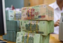 Cơ quan thuế cảnh báo về các yêu cầu cập nhật địa chỉ mới qua điện thoại