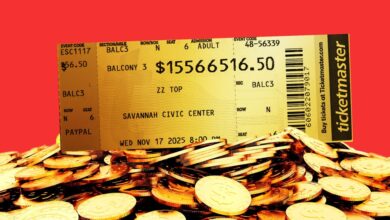 Why Concert Ticket Prices Are so High and What Could Make Them Cheaper