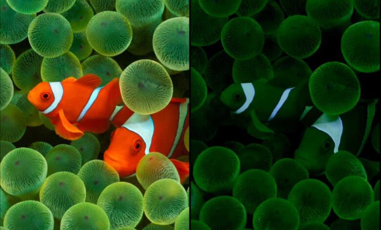Normal and Sleep versions of iOS 16 wallpaper on iPhone 14 Pro
