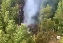 A imagem mostra uma área florestal densa com árvores verdes. No centro, há uma coluna de fumaça saindo de uma área que parece estar em chamas, indicando um incêndio. O solo é visível em algumas partes, com vegetação ao redor.