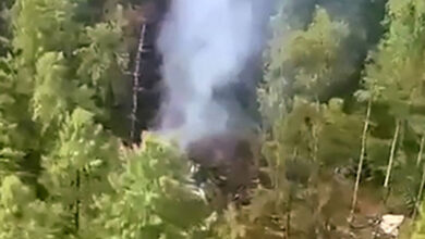 A imagem mostra uma área florestal densa com árvores verdes. No centro, há uma coluna de fumaça saindo de uma área que parece estar em chamas, indicando um incêndio. O solo é visível em algumas partes, com vegetação ao redor.