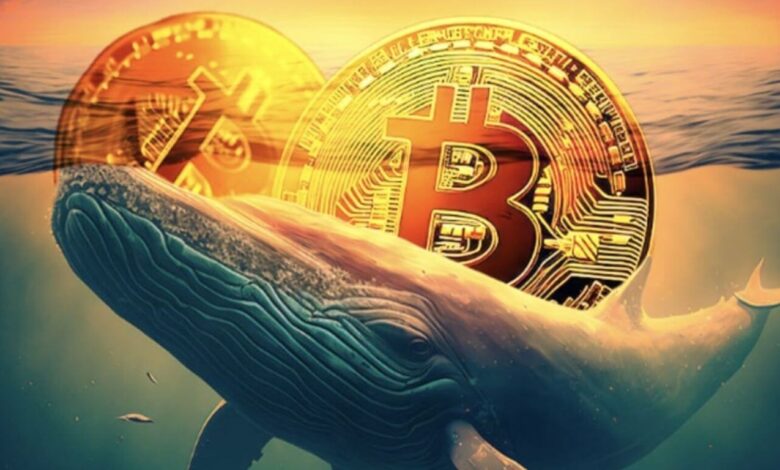 Webitcoin