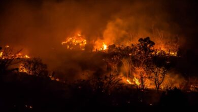 Brasil cria "olho mágico" no céu que prevê fogo com 99% de acerto!