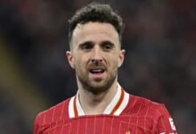 Liverpool star Diogo Jota dies at 28 in car crash in Spain