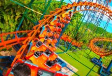 Parques temáticos em oferta! Disney de Orlando com entrada grátis e ingresso para o Beto Carrero com 17% OFF