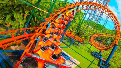 Parques temáticos em oferta! Disney de Orlando com entrada grátis e ingresso para o Beto Carrero com 17% OFF