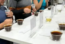 Fábrica mineira promove curso gratuito de classificação e degustação de cafés em BH