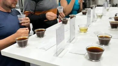 Fábrica mineira promove curso gratuito de classificação e degustação de cafés em BH