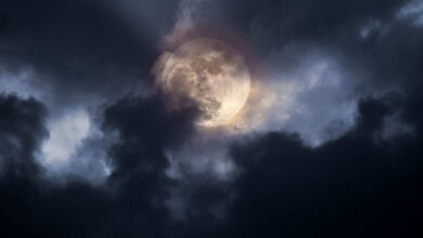 Fase da Lua hoje: 14/07/2025