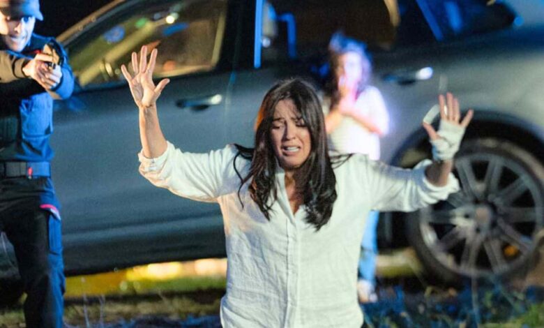 Final explicado da minissérie Netflix com reviravolta