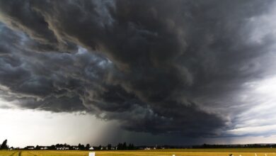 Nova frente fria traz dia gelado, chuva e geada; veja previsão do tempo