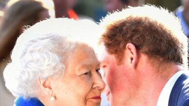 Insiders Unload on Prince Harry’s ‘Betrayal’ of Queen Elizabeth