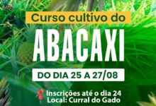 Prefeitura de Itapororoca promove Curso de Cultivo do Abacaxi de 25 a 27 de agosto