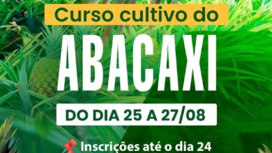 Prefeitura de Itapororoca promove Curso de Cultivo do Abacaxi de 25 a 27 de agosto