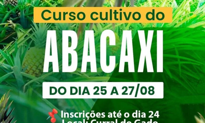 Prefeitura de Itapororoca promove Curso de Cultivo do Abacaxi de 25 a 27 de agosto