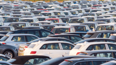 Licenciamento 2024 chega ao fim em dezembro com placas final 0