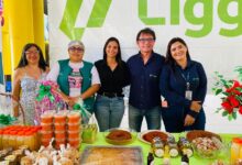 Em Parauapebas, Ligga promove capacitação para mulheres de Palmares Sul - Portal Canaã