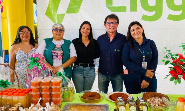 Em Parauapebas, Ligga promove capacitação para mulheres de Palmares Sul - Portal Canaã