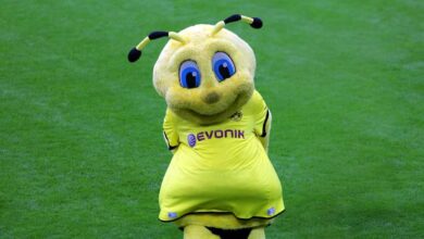 So wenig Geld kassiert Maskottchen Emma