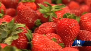 Strawberries break $1B in Monterey County's record 2024 crop report