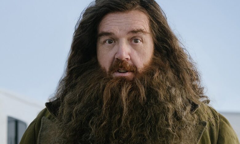 Nick Frost Debuts Hagrid in First Look Photo
