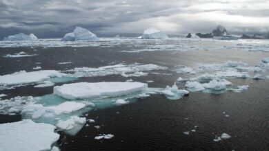 Oceano Ártico não congelou mesmo durante duas eras glaciais