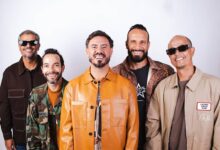 planta-raiz-show-curitiba-stage-garden