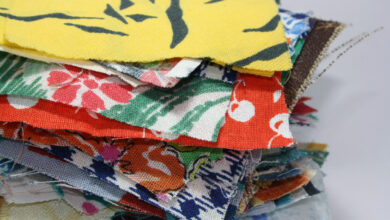 Sesc promove curso gratuito de moda pet sustentável em Santa Maria