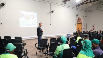 Prefeitura realiza treinamento sobre poda de árvores para equipes da CPFL e CSO