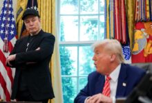 Trump diz que consideraria deportar Elon Musk