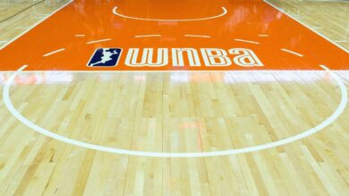 Sex toy tossed onto court during WNBA game in Chicago