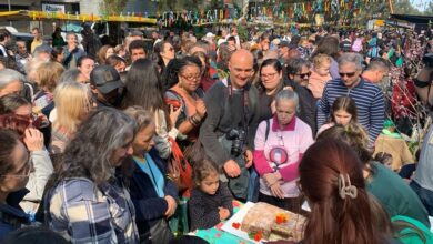 Feira Ecológica do Bom Fim  completa 34 anos; confraternização teve bolo, shows e bancas lotadas