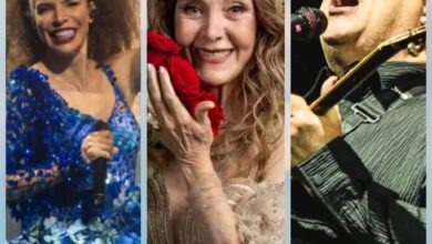 Vanessa da Mata, Wanderléa, Paralamas: confira shows do fim de semana