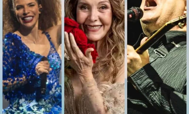 Vanessa da Mata, Wanderléa, Paralamas: confira shows do fim de semana