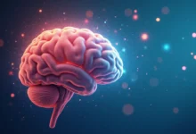 Brazil: Experts reveal top brain-boosting workout