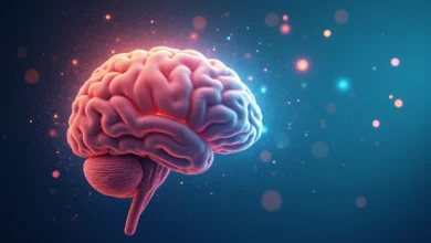 Brazil: Experts reveal top brain-boosting workout