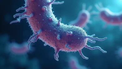 Brazil Gut Bacteria Linked to 29% Greater Muscle Strength