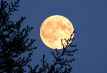 Brazil’s Gemini New Moon: What to Know This Month