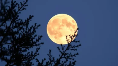 Brazil’s Gemini New Moon: What to Know This Month
