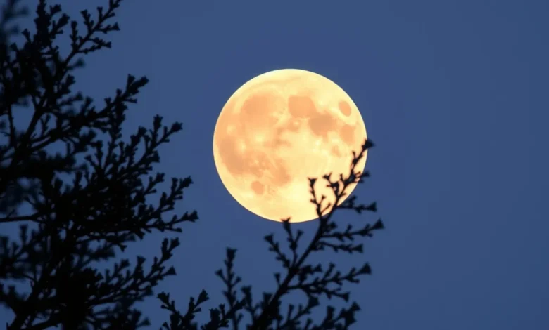Brazil’s Gemini New Moon: What to Know This Month
