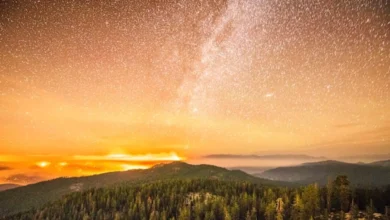 Brazil’s Cancer New Moon Hits These 3 Zodiac Signs Hardest